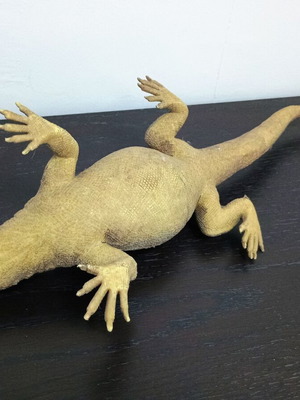 Large iguana toy used