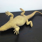 Large iguana toy used