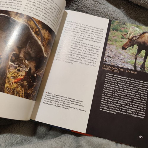 The Wolf and the Animals of the Mountain like new