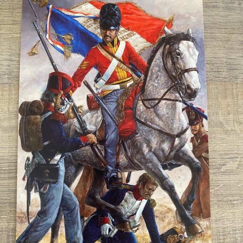 Osprey card postal set of 40 like new