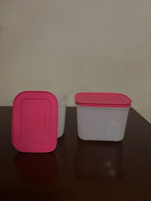 Tupperware Plastic Freezer Mates Gen II 1.1L new