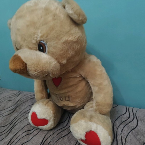 Large teddy bear with hearts used