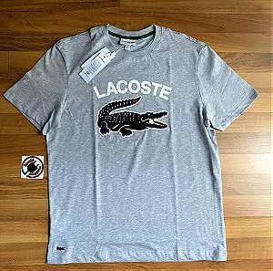 Lacoste grey T-Shirt
