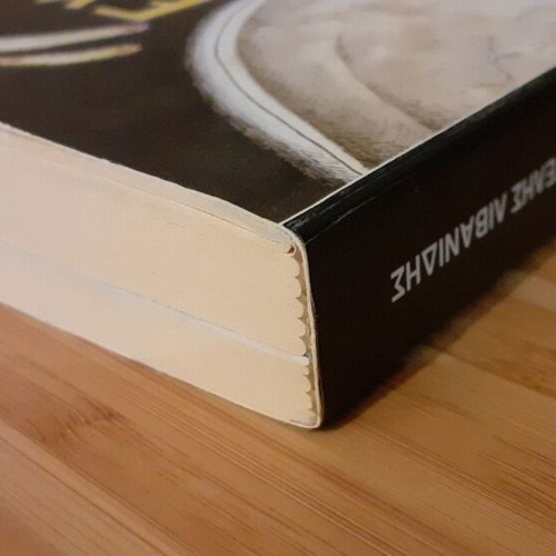 Exoun Erthei! book used about alien visit evidence