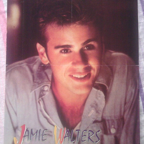 Melrose Place (Heather Locklear) & Jamie Walters poster used