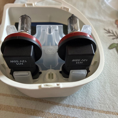 Halogen H11 bulbs for fog lights