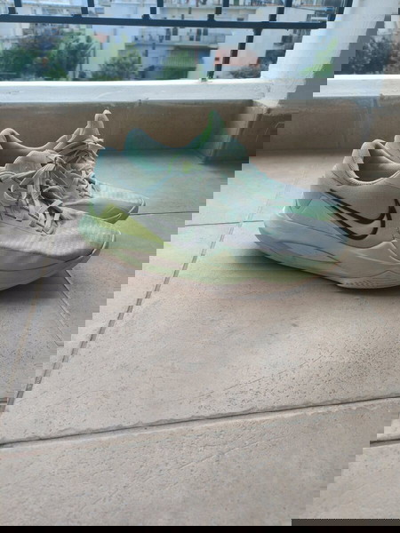 Nike Precision 6