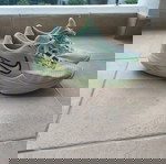  Nike Precision 6