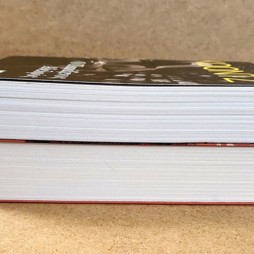Mystery book set used, Lucy Atkins and Dean Koontz