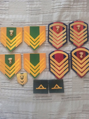 Non-Commissioned Officer Insignia like new