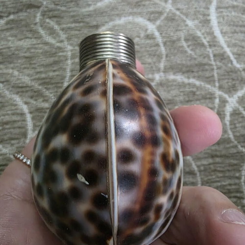 Salt and pepper set made of natural shell like new