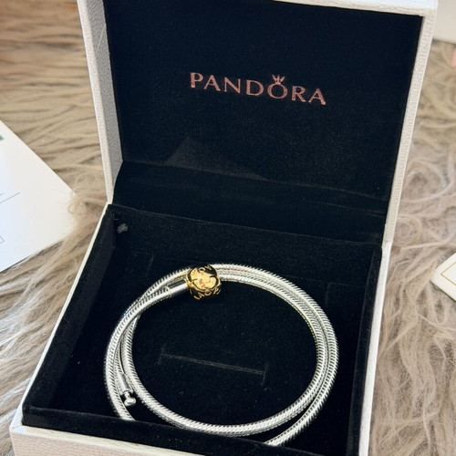 Pandora necklace silver and gold