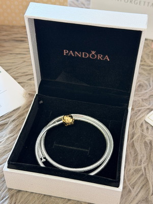 Pandora necklace silver and gold