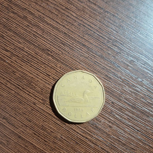 Canada 1 Dollar 1989 used