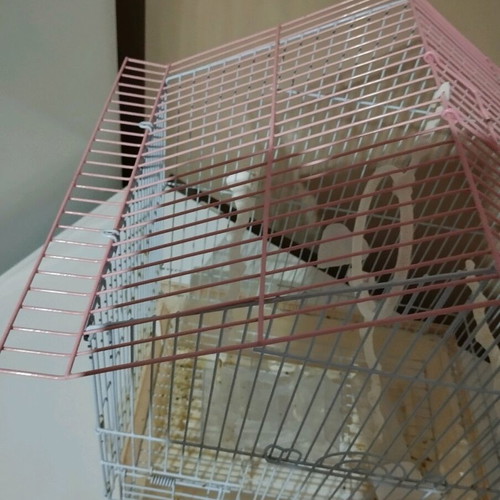 Large birdcage like new with accessories and sand