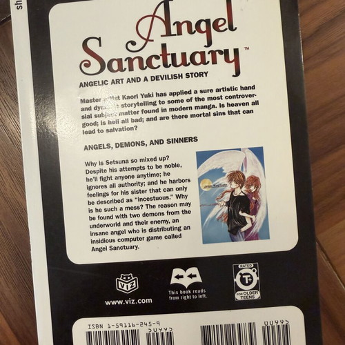 Angel Sanctuary Vol.1 by Kaori Yuki, like new, English