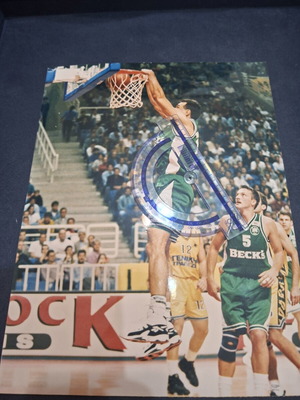 Panathinaikos Men's Basketball Collectible Photo used, authentic, 20×26 cm