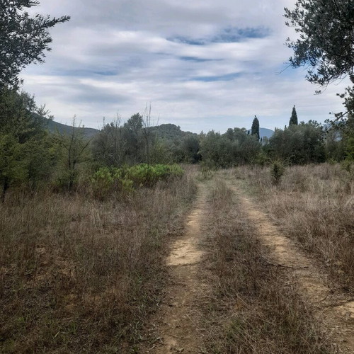 Stone house 40 sqm with 235 sqm plot and olive grove in Messinia