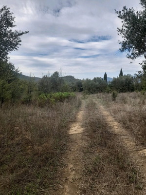 Πέτρινη κατοικία 40 τ.μ. στη Μεσσηνία με οικόπεδο 235 τ.μ.