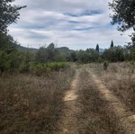 Πέτρινη κατοικία 40 τ.μ. στη Μεσσηνία με οικόπεδο 235 τ.μ.
