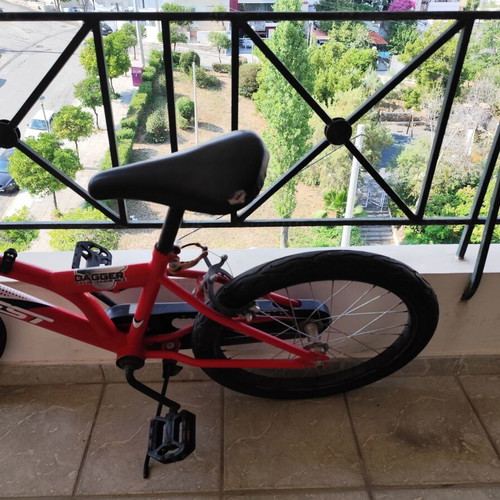 Everest Kids Bicycle used, 20 Inch, V-Brakes, red