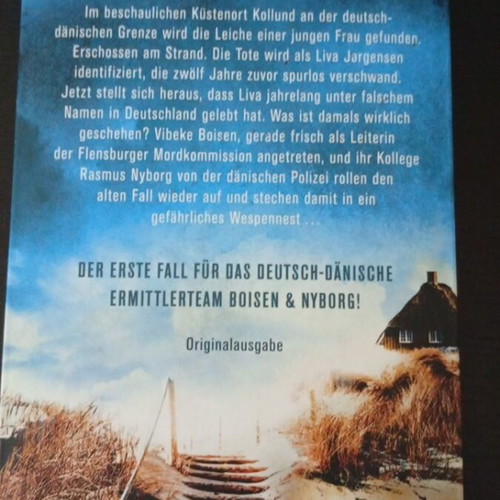 German crime novel new