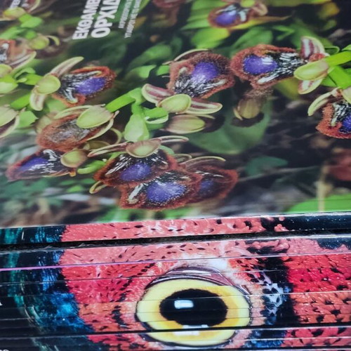 Yperochi Ellada Explore Nature 12 volumes new