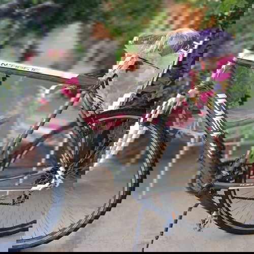 Ποδήλατο IDEAL XL