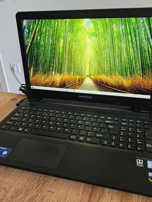 Medion Erazer P6661 laptop 15.6 inch Intel i5-6200U GTX 950M 8GB RAM 480GB SSD