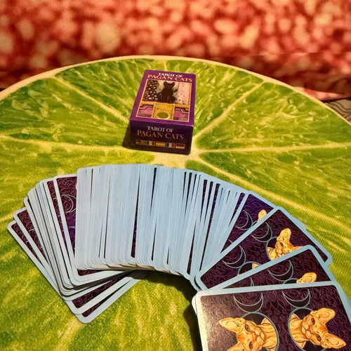 Tarot of Pagan Cats deck like new