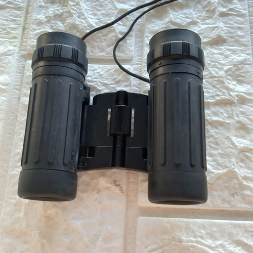 Bushnell Binoculars like new with case