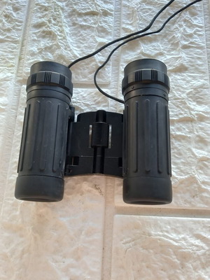 Bushnell Binoculars like new with case