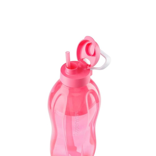 Water Bottle 2L with Straw and Handle, new