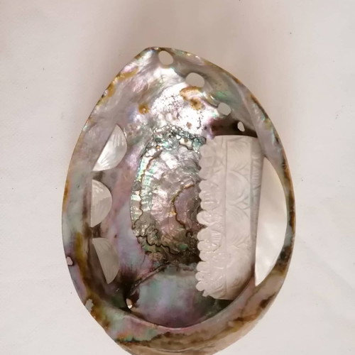 Large Abalone Shell Pacific Mother of Pearls used