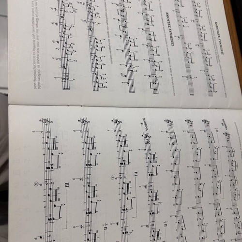 First Guitar Lessons used, Philippos Nakas