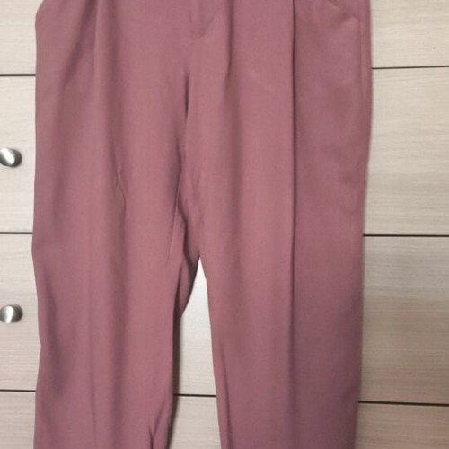 Zara summer pants small, ankle length, rotten apple color, used