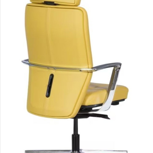 Ergoaction Sahara Executive Office Chair leather yellow new