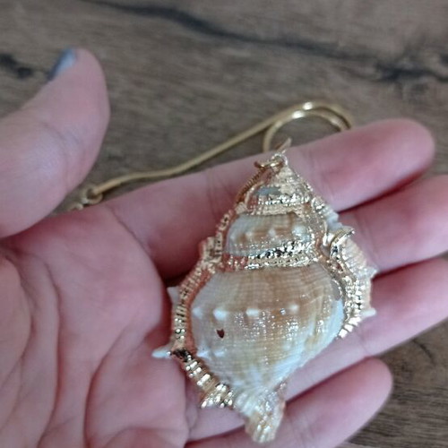 Necklace with shell*Final price