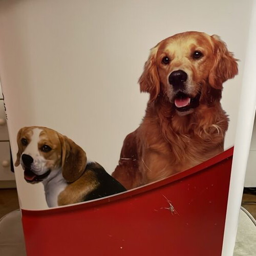 Plastic trash bin new with dog prints