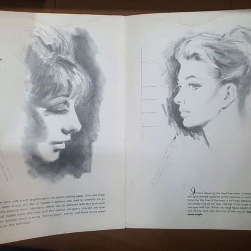 Faces and Features book used, English