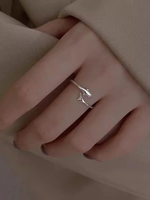 S925 silver ring with dolphin design