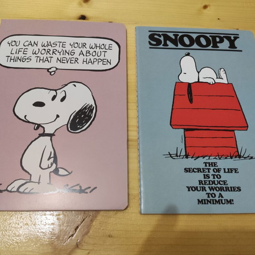 Snoopy notebooks new