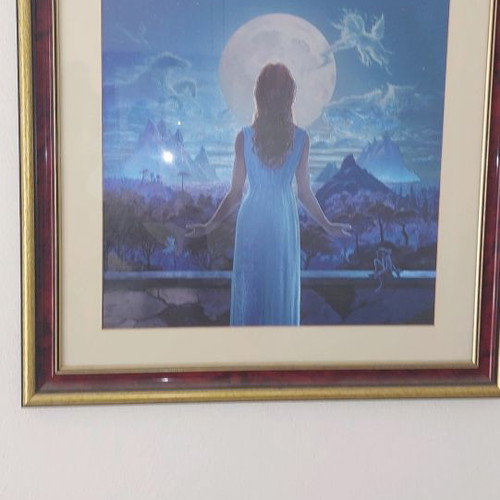Painting used