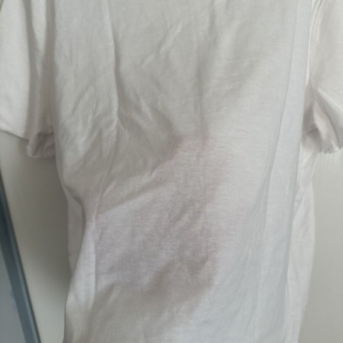 Zara Basic T-Shirt New, Size L