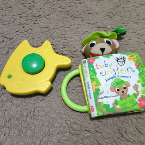 Baby Einstein Fabric Book like new with baby toy