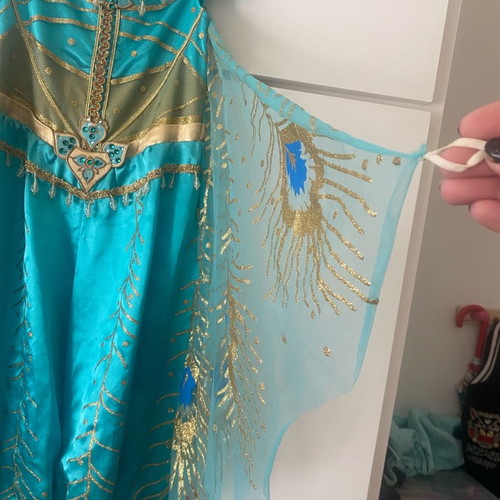 Jasmine costume from Disneyland with slight wear, size 7-8