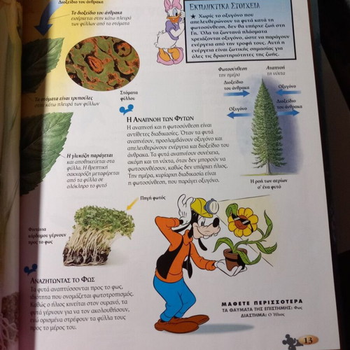 The Life of Plants book like new