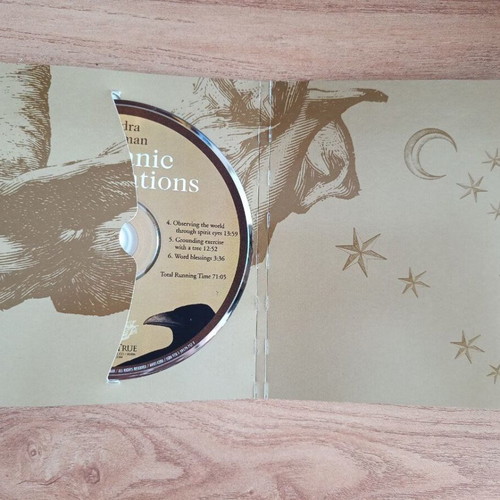 Sandra Ingerman Shamanic Meditations 2 CD set