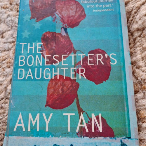 The Bonesetter's Daughter book used, English