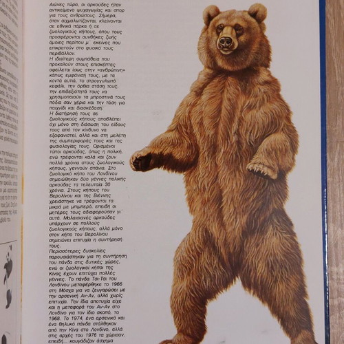 The World of Animals used, Bears & Elephants